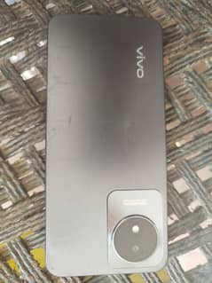 vivo