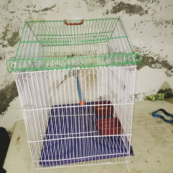 new cage for sale 1800 1