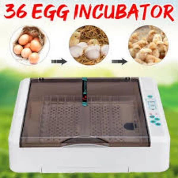 Automatic incubators|hatching machine| 360 eggs & brooders machines 1