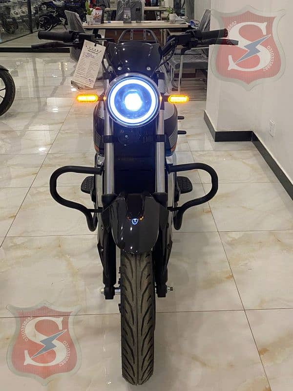 Warrior E Turbo /Electric Bike 1