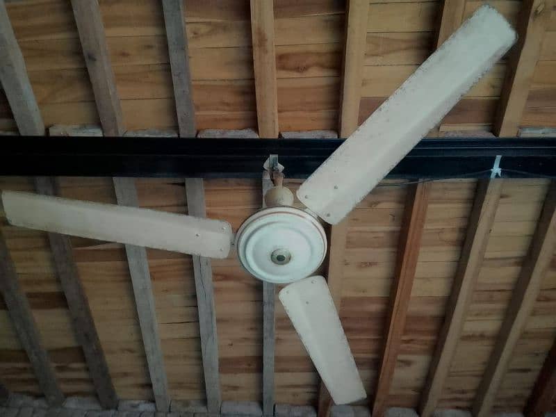 02 ceiling fan 1