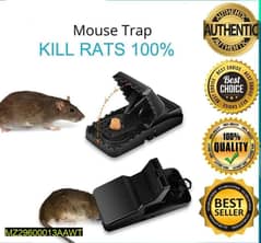 Plastic Mouse Trap, Pack of 2