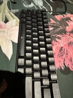 redragon 60 percent k630 keyboard