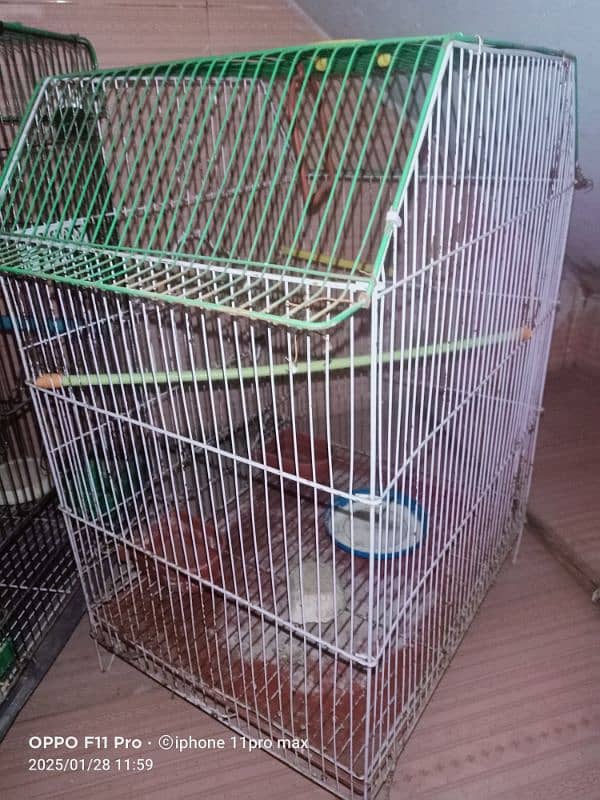 big cage: 3500/rs small cage: 2500/rs 4