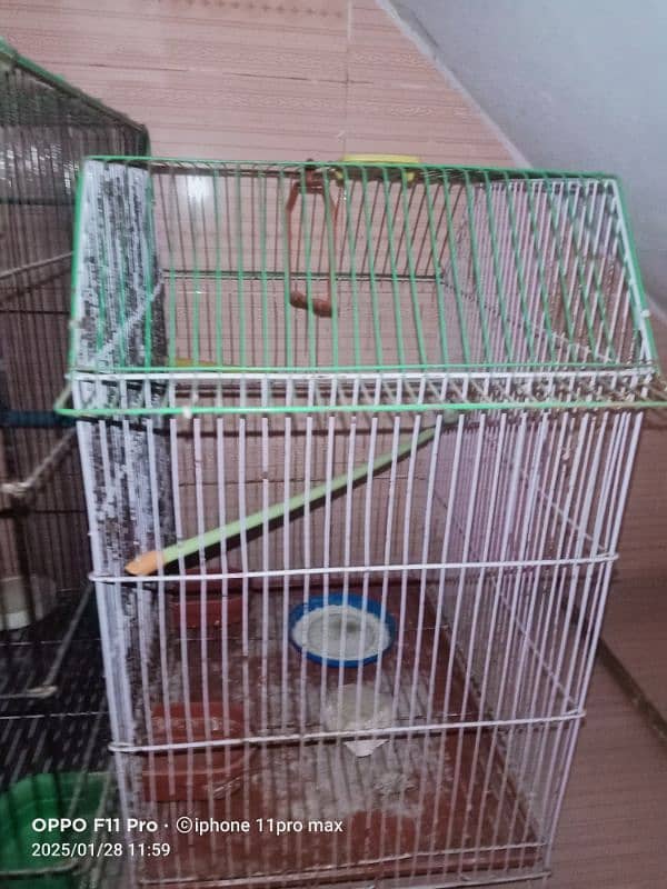 big cage: 3500/rs small cage: 2500/rs 5