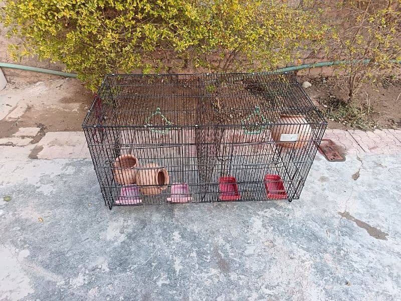 Birds cage for sale 2