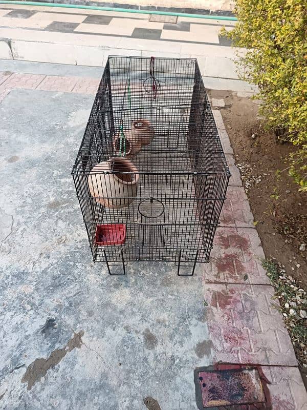 Birds cage for sale 3