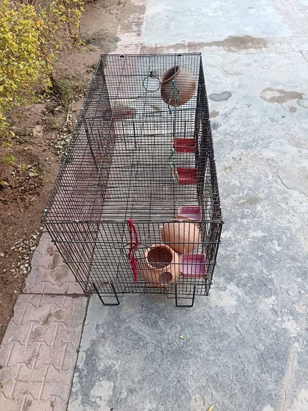 Birds cage for sale 4