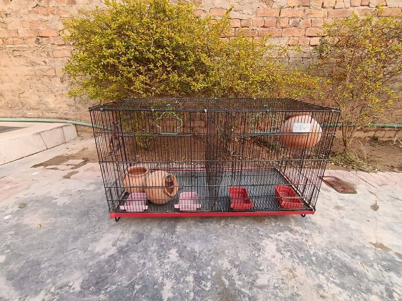 Birds cage for sale 6