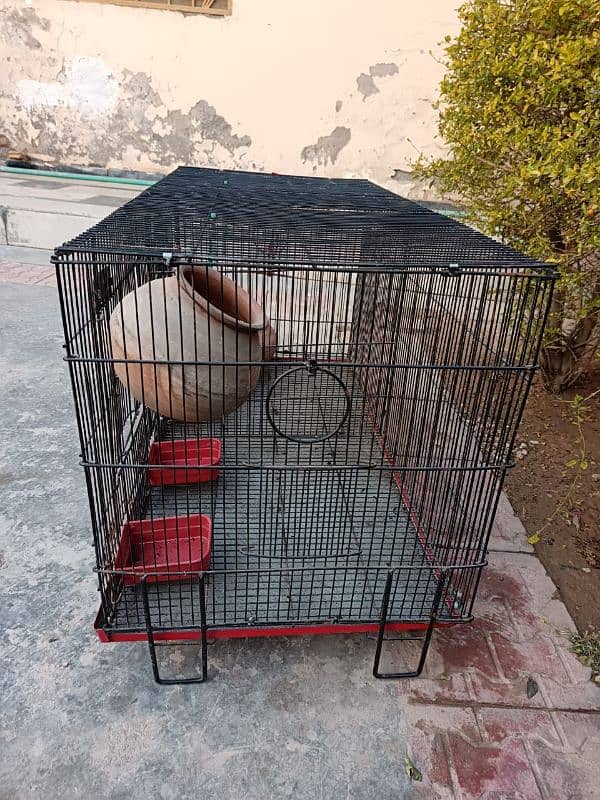 Birds cage for sale 7