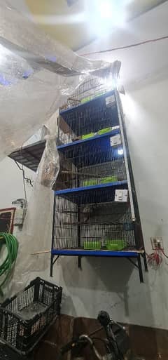 4 portion cage box and 4 pairs