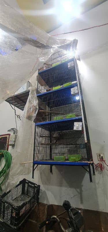 4 portion cage box and 4 pairs 0