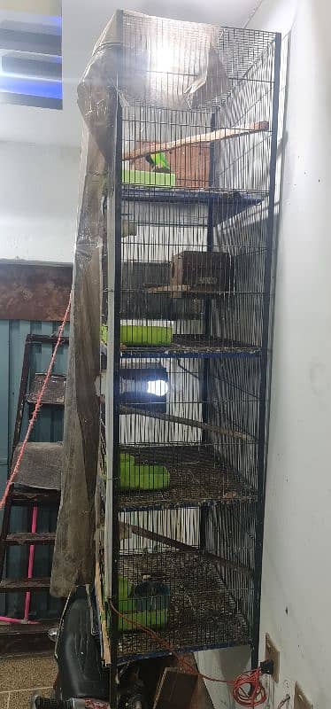 4 portion cage box and 4 pairs 1