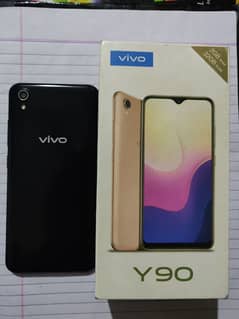 VIVO