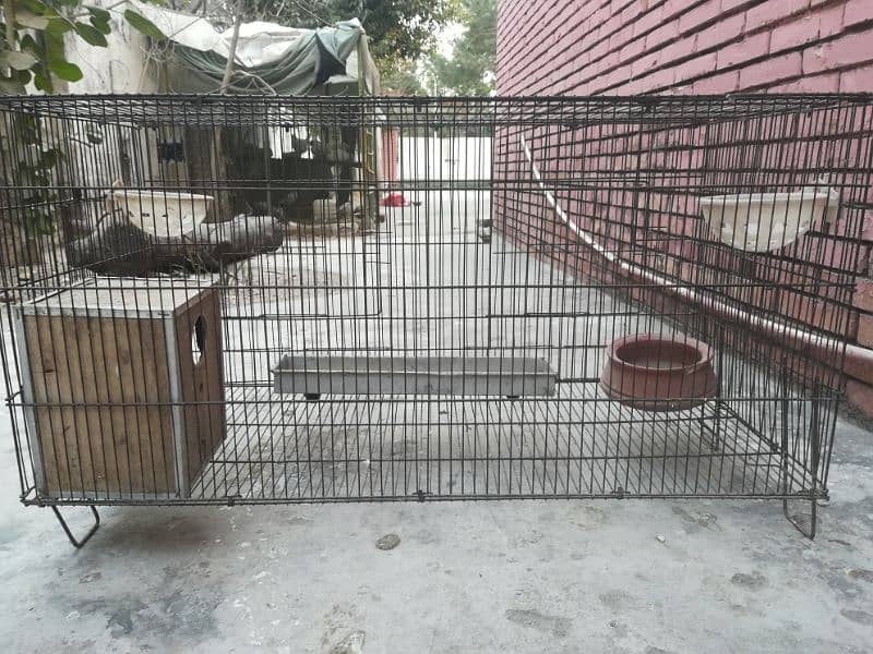 Birds/animal cage 1