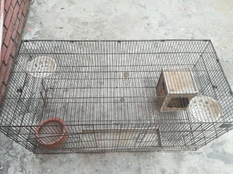 Birds/animal cage 3