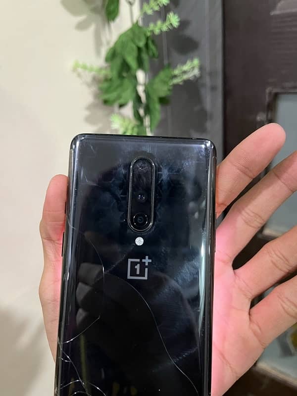 oneplus 8 dual physical pta (exchange possible) 11