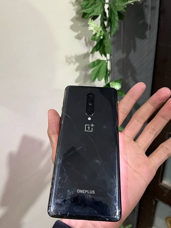 oneplus 8 dual physical pta (exchange possible) 12