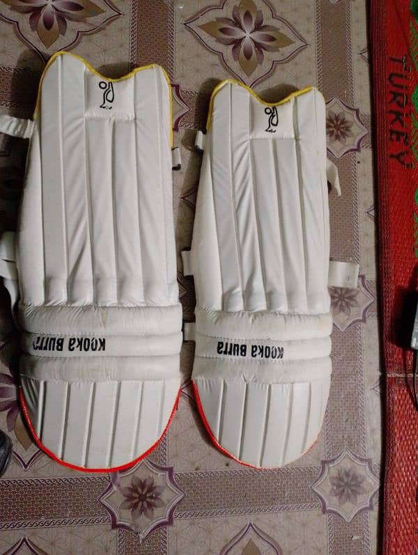 cricket bat and pads for sale 3