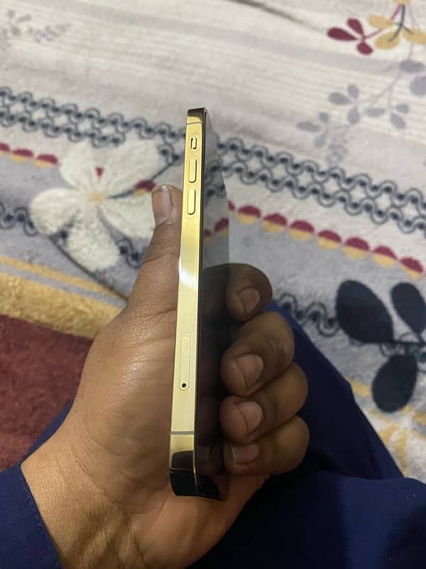 iPhone 12 Pro gold colour 6