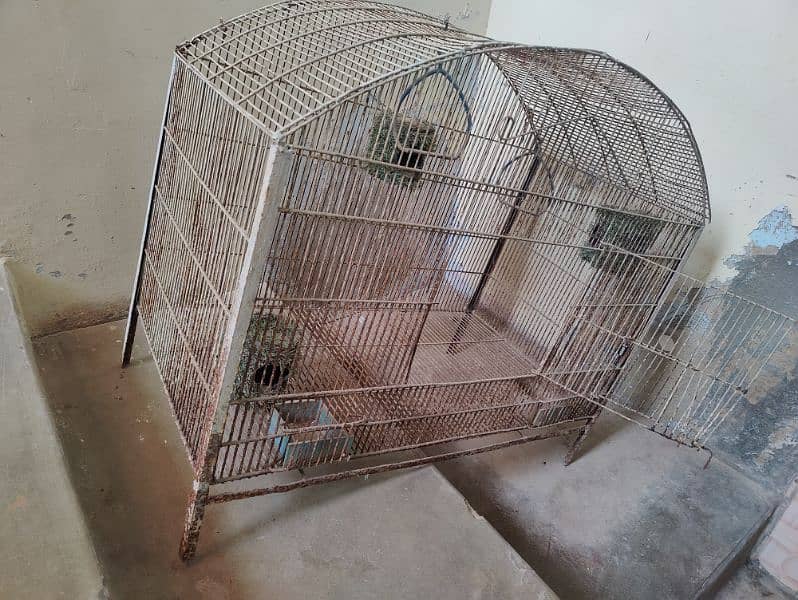 birds cages 0