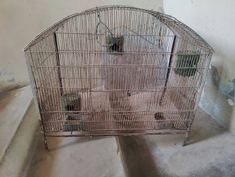 birds cages 2