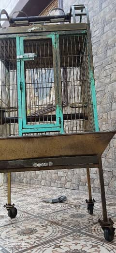 Raw, Coctoa, Ringneck Cage