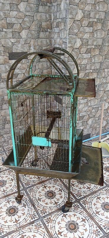 Raw, Coctoa, Ringneck Cage 7