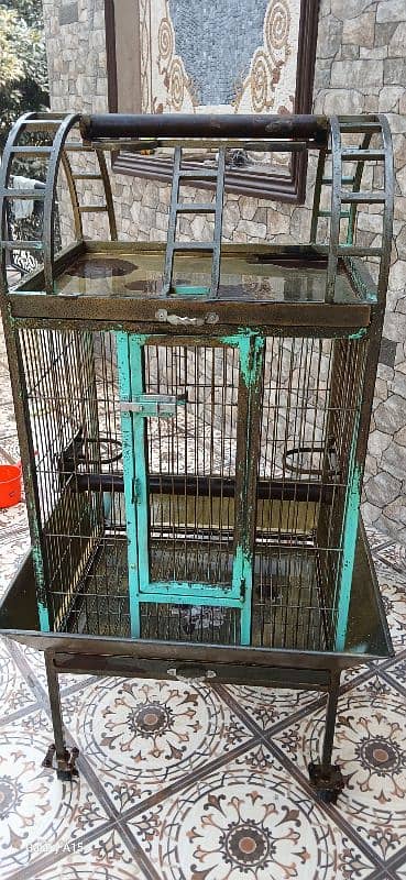 Raw, Coctoa, Ringneck Cage 8