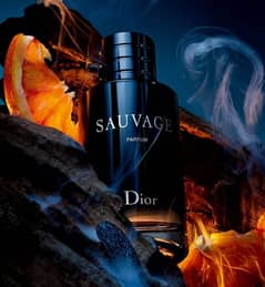 SAUVAGE Perfume 100ml Long Lasting