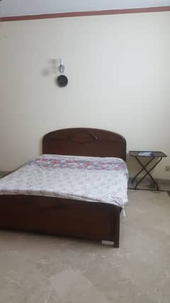 services paying guest(female roommate needed )(room for girls)