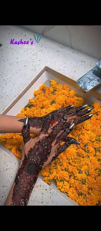 kashee's con MehnDi 1