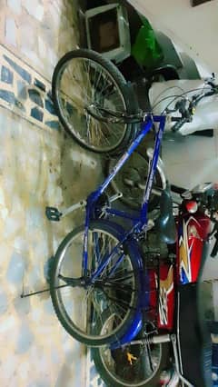 bicycle for sale lush Condition