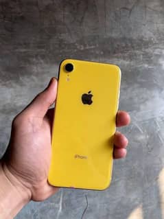 iPhone xr