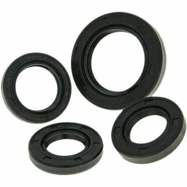 Engine Rubber Seals 0