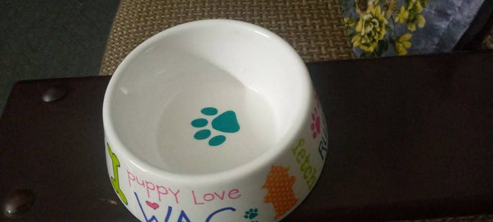 Food Bowl For Animals 0