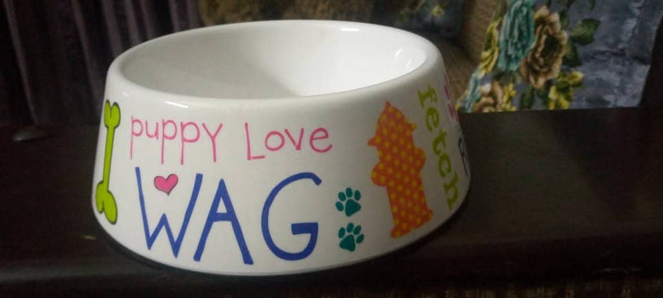 Food Bowl For Animals 3