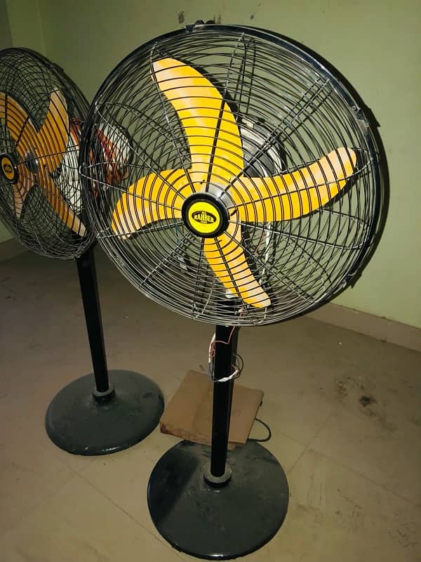 12Volt Pedestal fans for sale 0