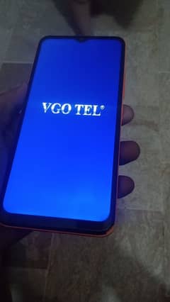 vigeo tel