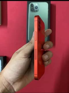 iPhone 12 mini