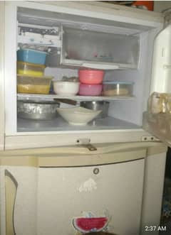 PEL refrigerator full size 03009607927