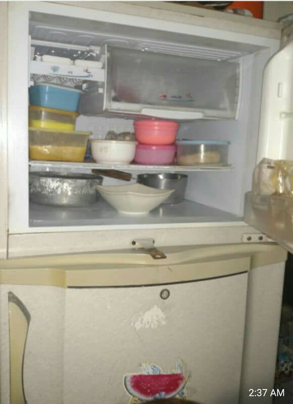 PEL refrigerator full size 03009607927 0