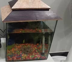 fish tank/fish aquarium/fish