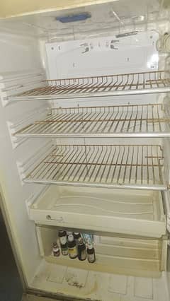 Pel full size refrigerator