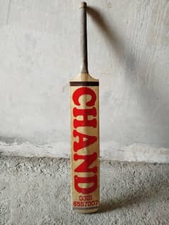 cricket