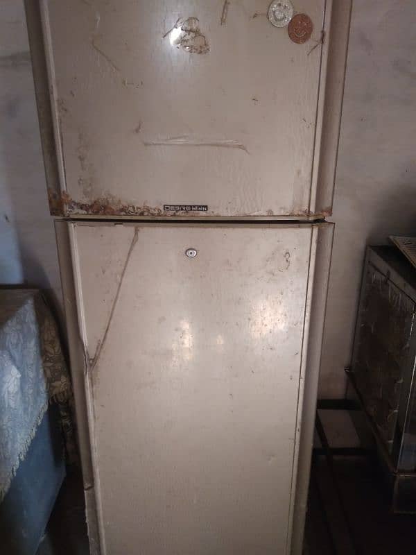 Pell jambo size fridge 1