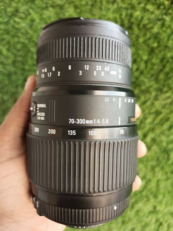 Sigma 70-300 Nikon 1