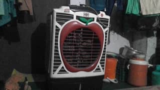 Air cooler