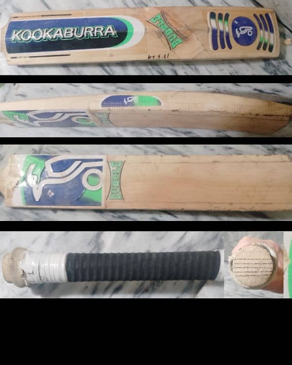 Right hand cricket player full setup 1