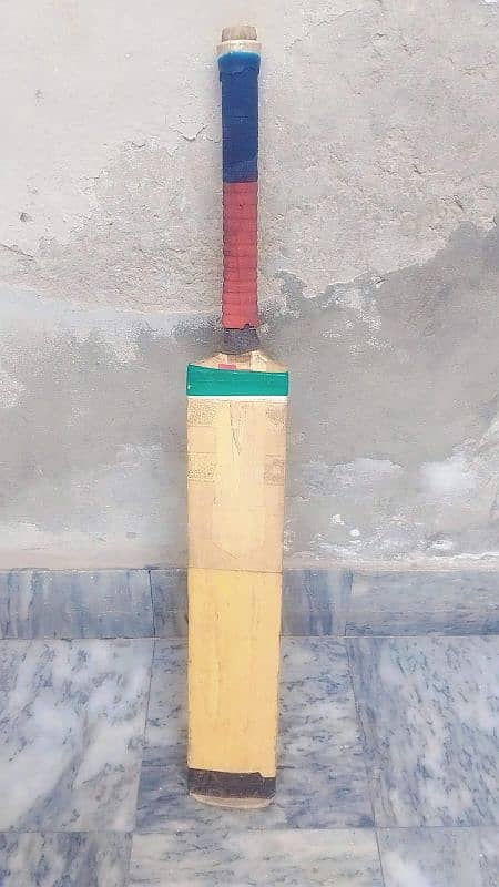 BABAR AZAM HARD BALL BAT 1